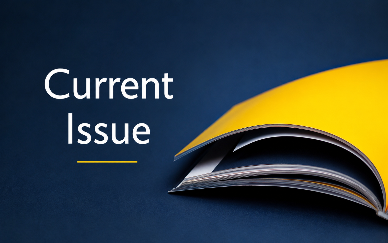 Current Issue - IJMRR